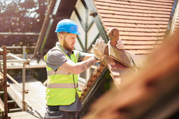 Professional Roofing Contractor in Winterville, GA